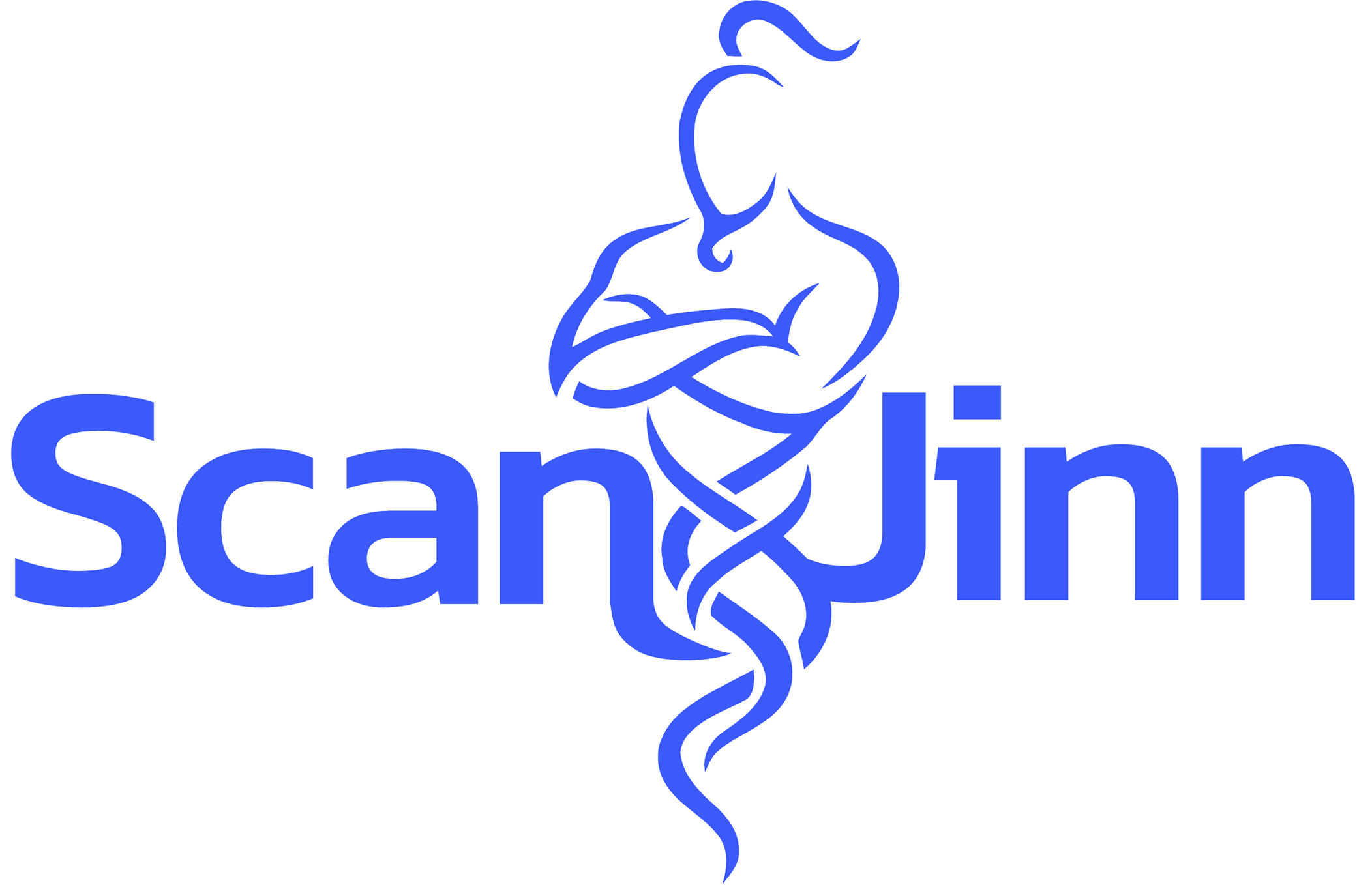 Scanjinn logó